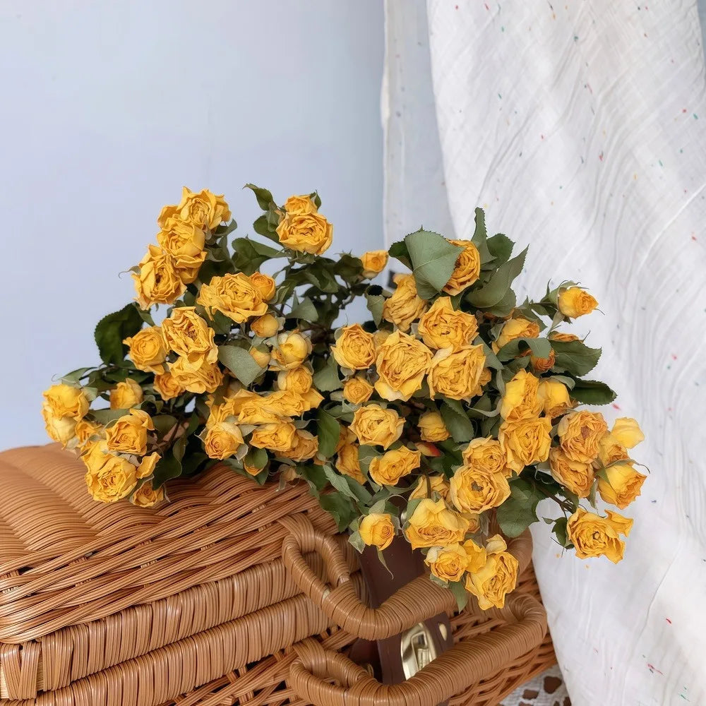 Bouquet of dried yellow roses on a wicker surface with a white textured background