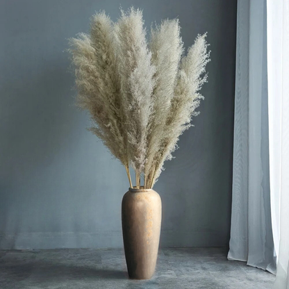 Large Dried Fluffy Pampas Grass