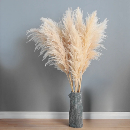 Large Dried Fluffy Pampas Grass