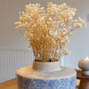 Dried Gypsophila Flower Bouquets