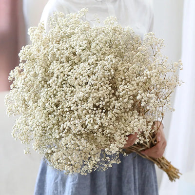 Dried Gypsophila Flower Bouquets