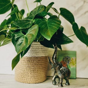 Neutral Woven Basket