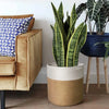 Neutral Woven Basket