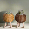 Small Round Rattan Woven Flower Pot