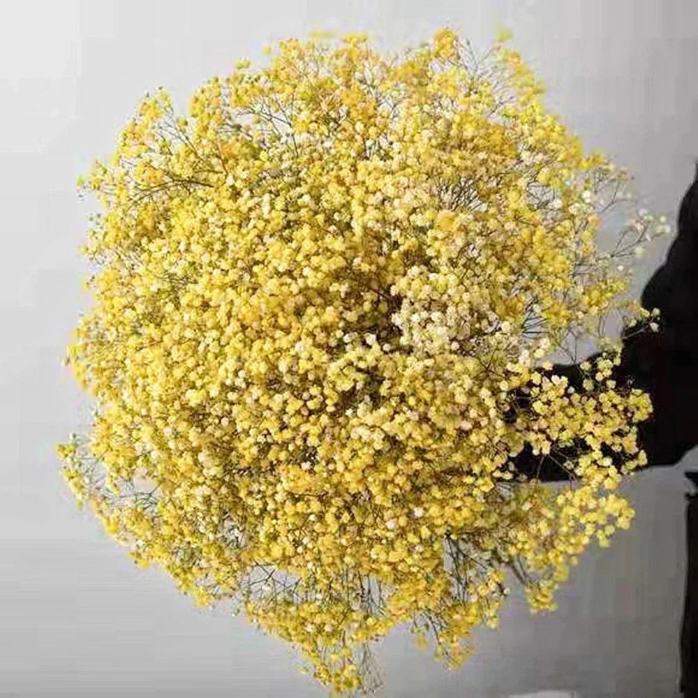 Autumn Gypsophila Bouquet