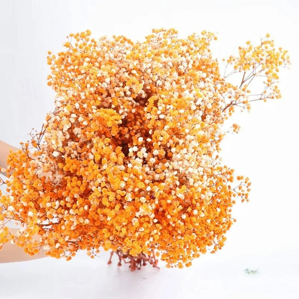 Autumn Gypsophila Bouquet
