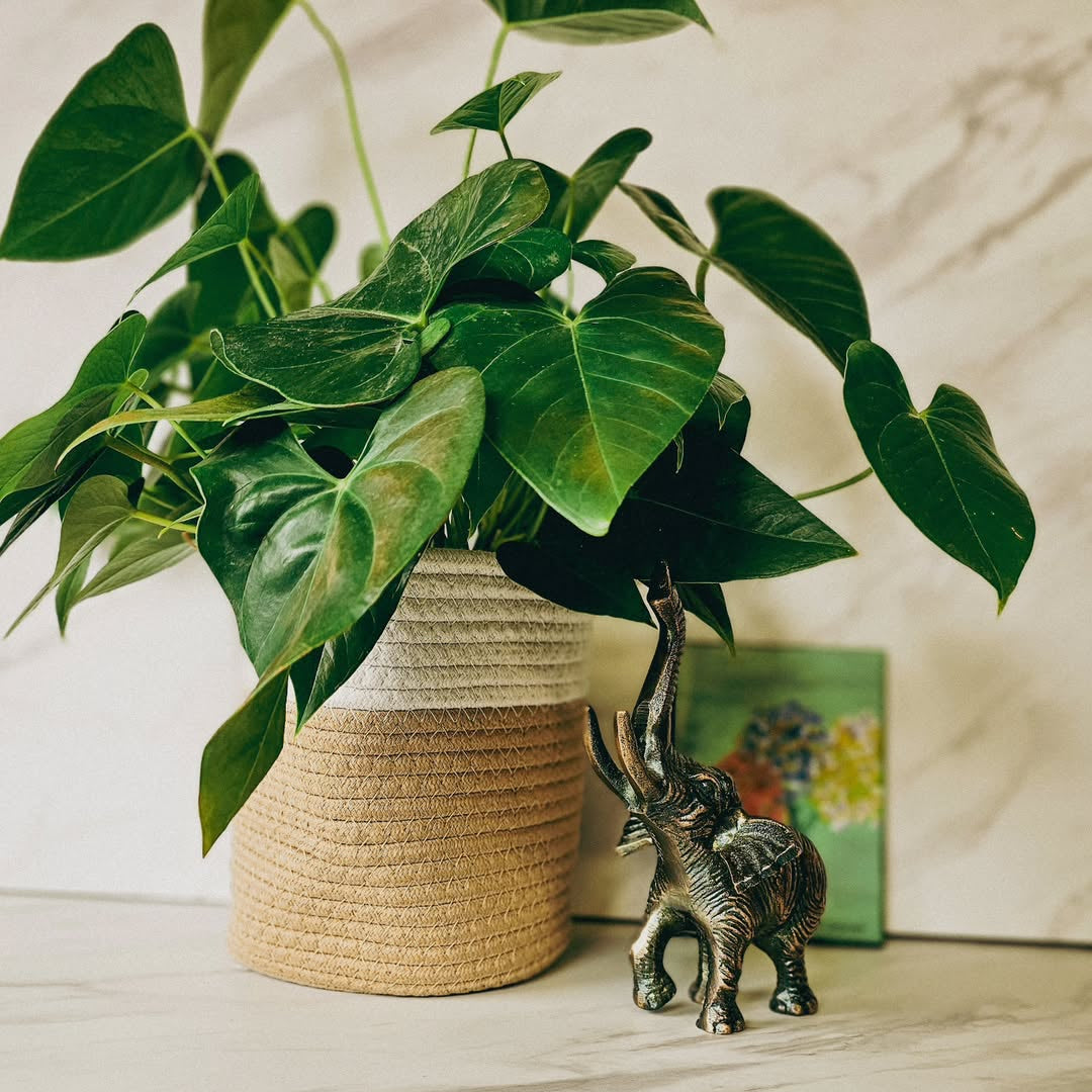 Neutral Woven Basket