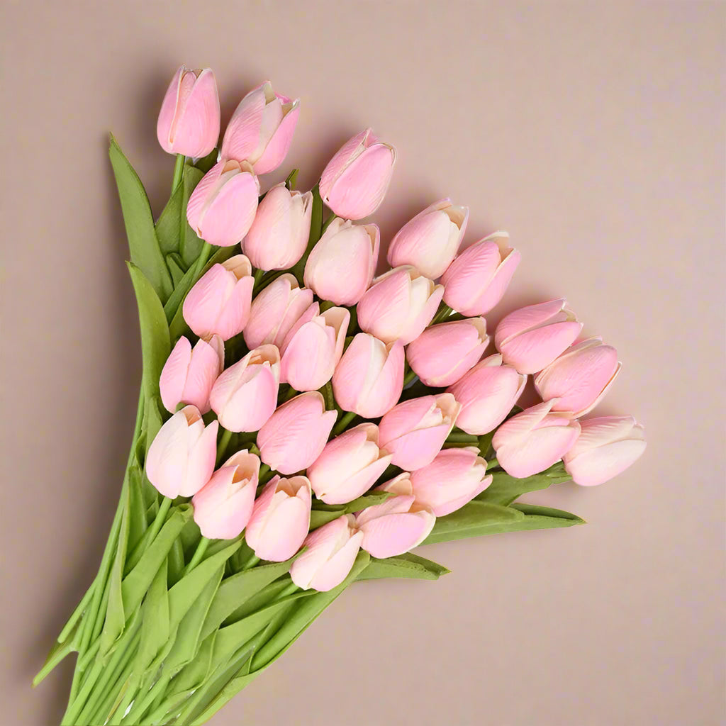 Bouquet of baby pink tulips on a white background