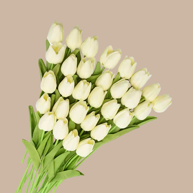 Bouquet of white tulips on a beige background