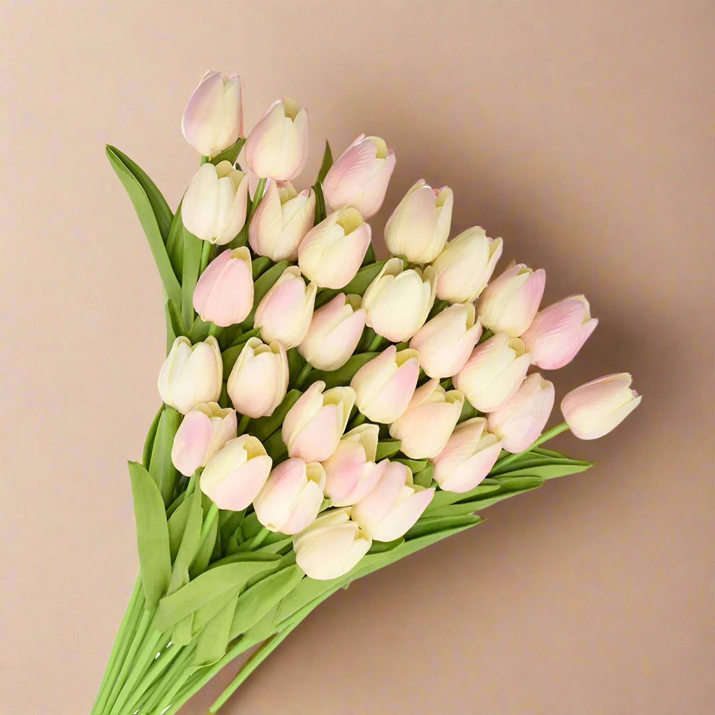 Bouquet of pink and peach tulips on a white background