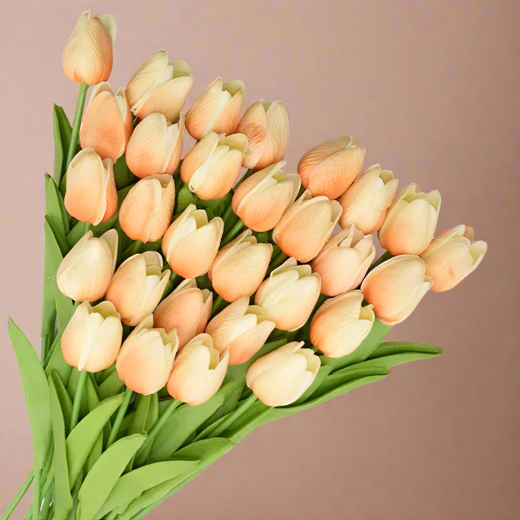 Bouquet of peach-colored tulips with green stems on a white background