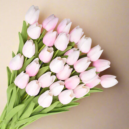 Bouquet of pink and white ombre tulips with green stems on a white background