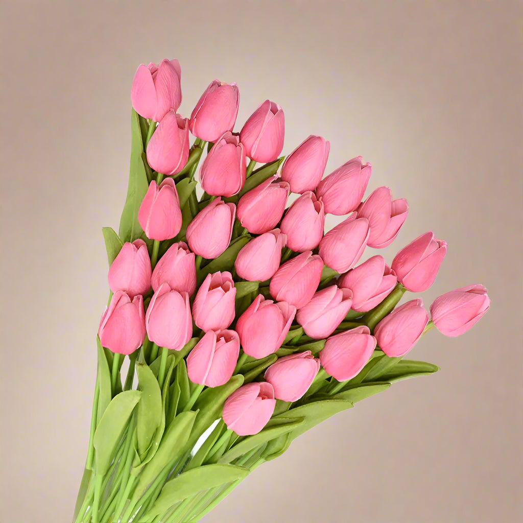 Bouquet of pink tulips on a white background