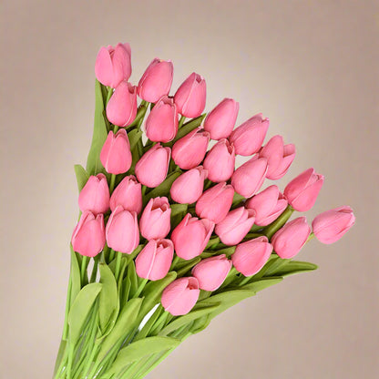Bouquet of pink tulips on a white background