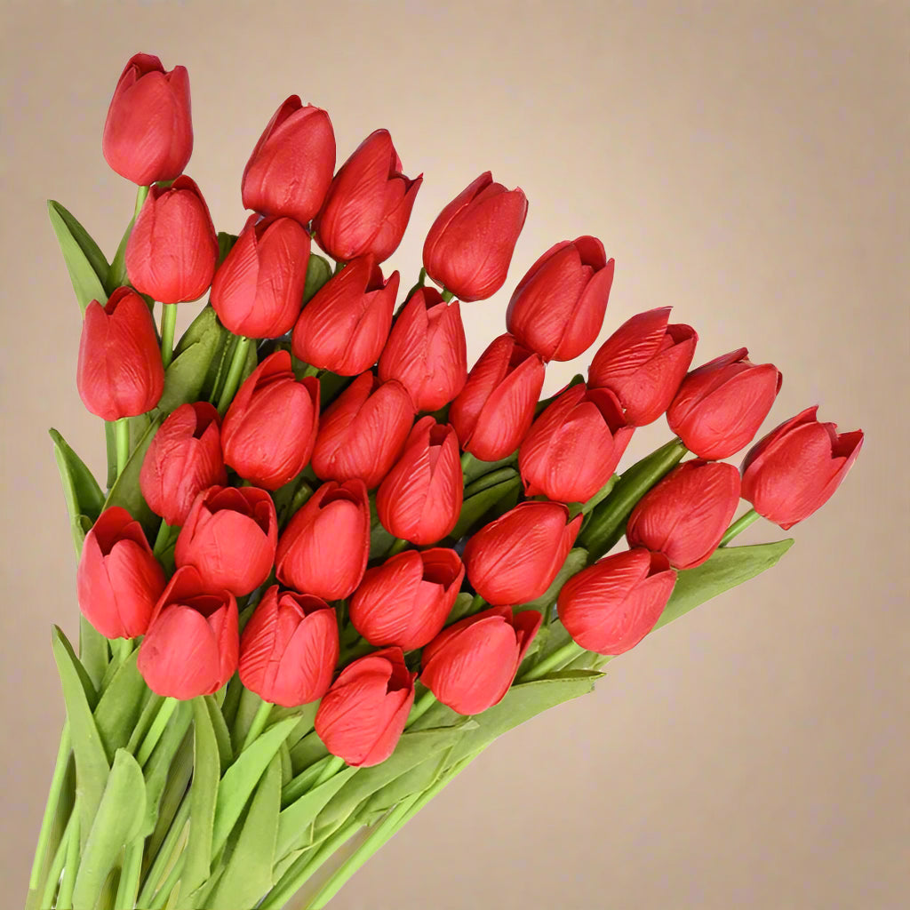 Bouquet of red tulips with green stems on a white background