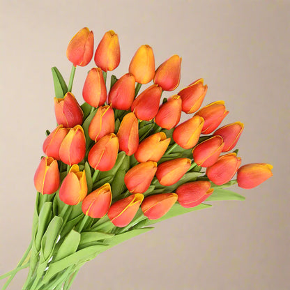 Bouquet of red and orange tulips on a white background