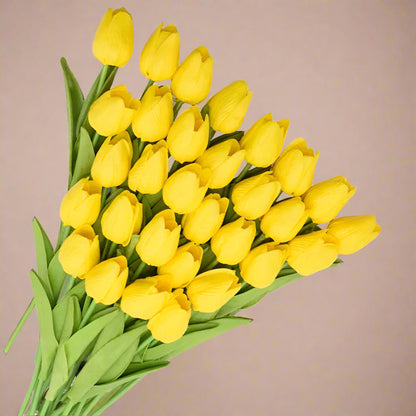 Bouquet of yellow tulips with green stems on a white background