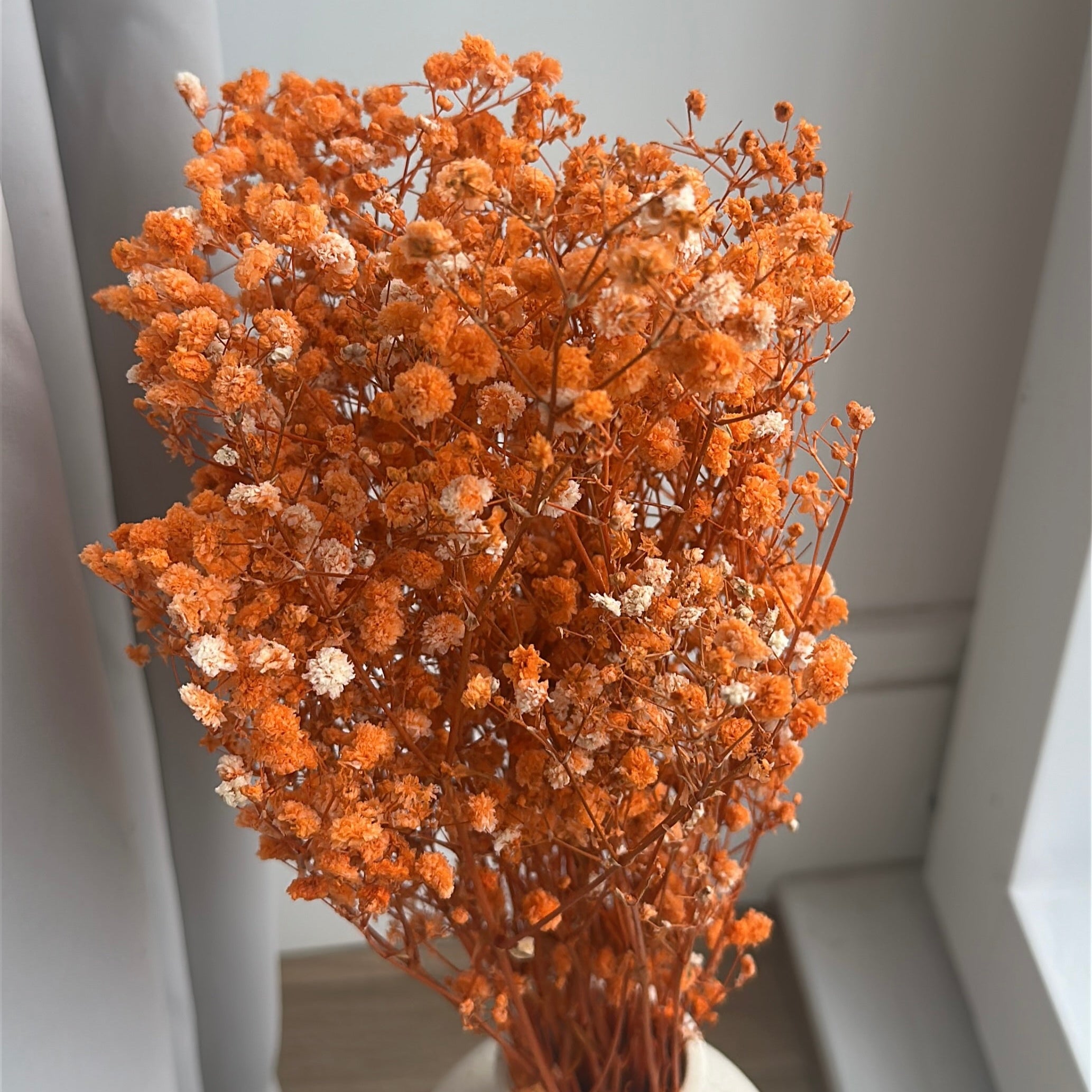 White vase with orange dried gypsophila flowers against a light grey wall.