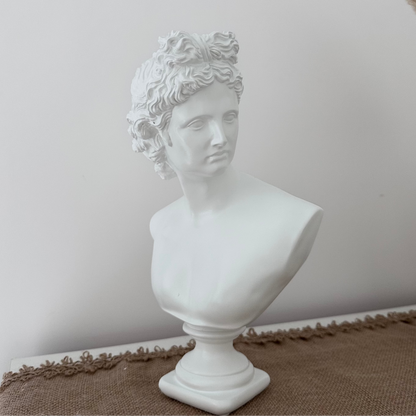 White classical bust on a pedestal against a plain wall