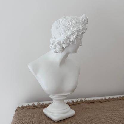 White classical bust sculpture on a textured surface with a neutral background