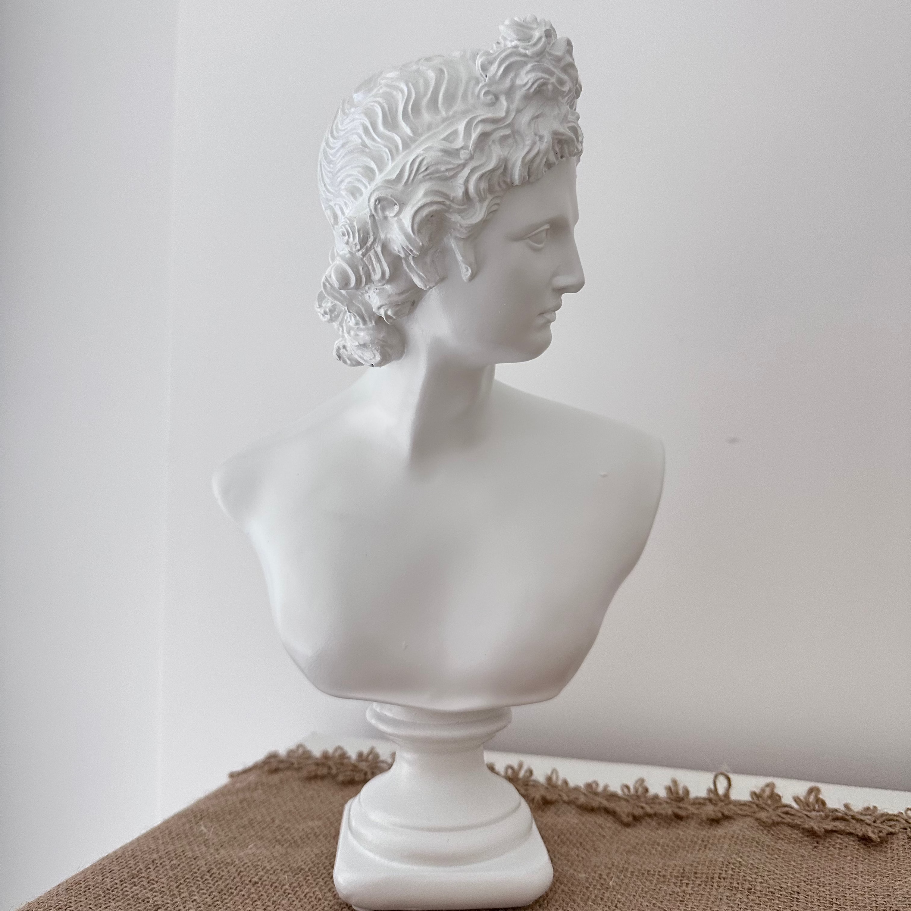 White classical bust on a textured surface with a plain background