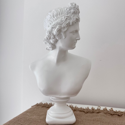 White classical bust on a textured surface with a plain background