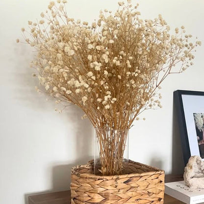 Bouquet of dried gypsophila flowers in a woven basket on a light background