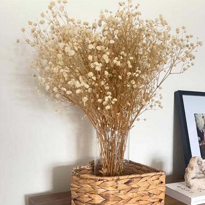Bouquet of dried gypsophila flowers in a woven basket on a light background