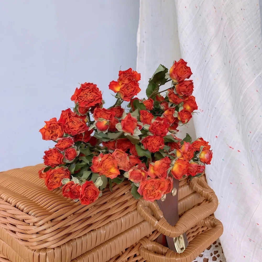 Bouquet of red and amber dried roses on a woven surface with a white fabric background