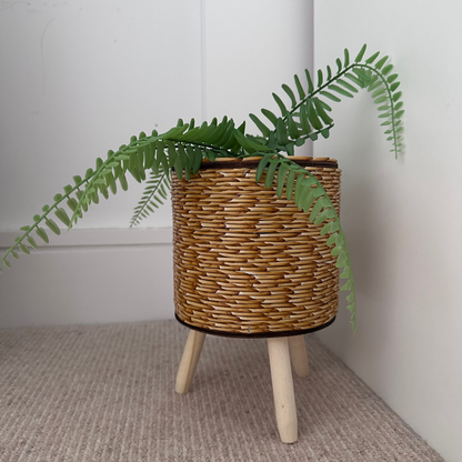 Wicker plant stand with a plant on a neutral background