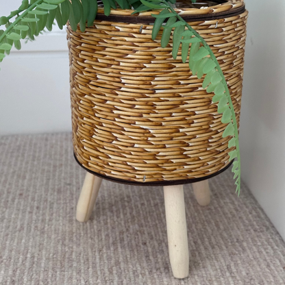 Wicker plant stand with a plant on a neutral background